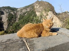 -司马台长城