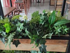 -名咖坊(苏州北站店)