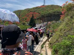 -大围山国家森林公园