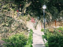 -十八棵（老龙井）御茶园(老龙井店)