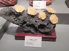 -湖南省地质博物馆