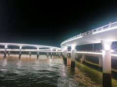 -演武大桥观景平台