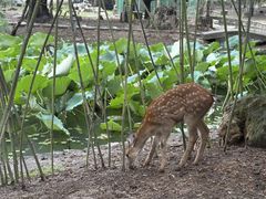 -观唐（国际）度假村温泉