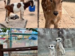 -海合安天津极地海洋公园