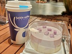 -CAKE BOSS 蛋糕老板(西单君太百货店)