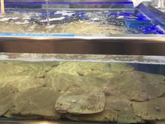 -盒马鲜生(大成店)