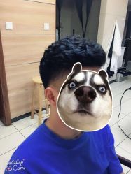 -魅力发型