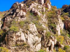 -大岭沟猕猴桃谷风景区