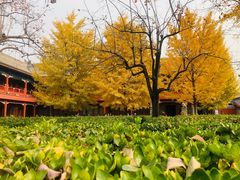 -北京石刻艺术博物馆(五塔寺)