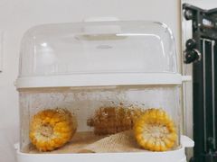 -征成健身连锁私教工作室(九公里店)