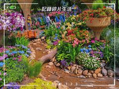 -上海滨江森林公园