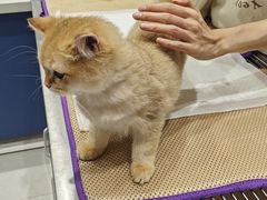 -萌兽医馆·犬猫专科·眼科中心·宠物医院(朝阳门分院)