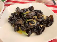 冰鲜木耳-西贝(上海我格广场店)