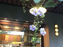 -莓园冰淇淋店