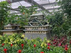 -南宫五洲植物乐园