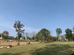 -盘龙城国家考古遗址公园