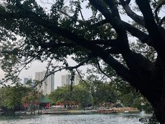 -荔湾湖公园