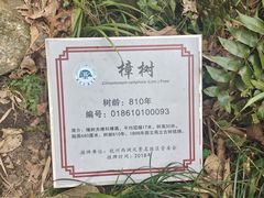 -虎跑公园