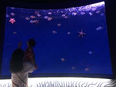 -沈阳海洋探索中心