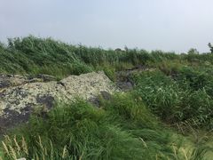-北药泉