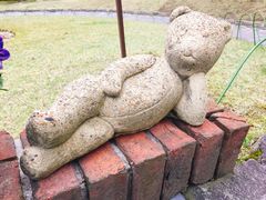 -伊豆泰迪熊博物馆