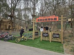 -昆山城市生态森林公园