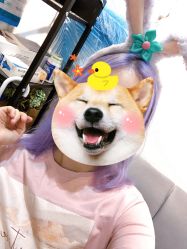 -潘多拉Hairsalon