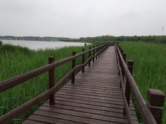 -西青郊野公园