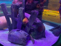 -沈阳海洋探索中心