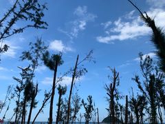 -西涌国际滨海旅游区