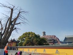 -上海东林寺(金山区)