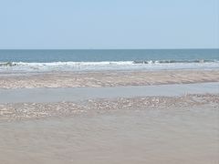 -日照海滨国家森林公园
