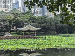 -南宁南湖公园