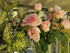 -MCJ-花店(西罗园店)