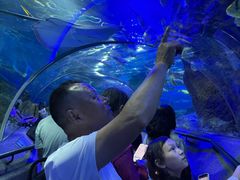 -大连圣亚海洋世界