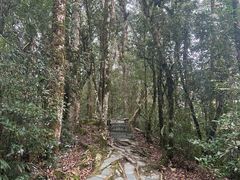 -云南屏边大围山国家公园