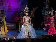 -金东尼人妖秀
