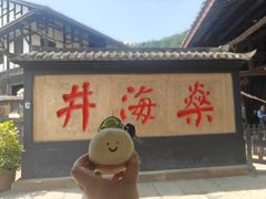 -燊海井