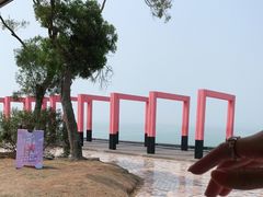 -漳州滨海火山岛自然生态风景区