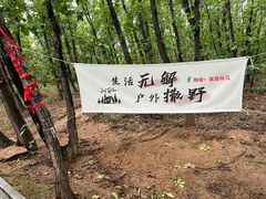-六里坪国家森林公园