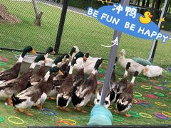 -上海长兴岛郊野公园