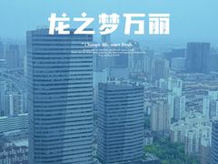 -上海龙之梦万丽酒店