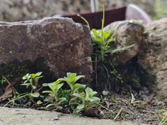 -MOJ coffee(瓯海泽雅水碓坑店)