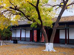 -张学良旧居陈列馆(大帅府)