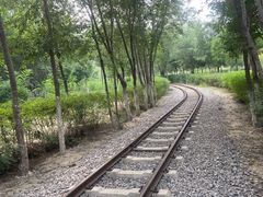 -西青郊野公园