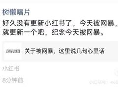 -树懒黑胶唱片店(中山路店)