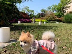 -上海崇明金茂凯悦酒店