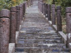 -田心森林公园