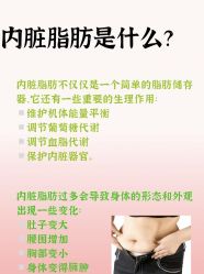 -Fundi张玉珊修身堂·indiba·BTL科技瘦身