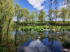 -永定河休闲森林公园